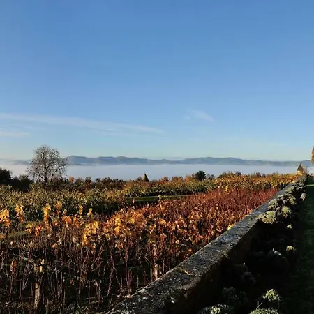 فندق Chateau De Bagnols (Rhone)