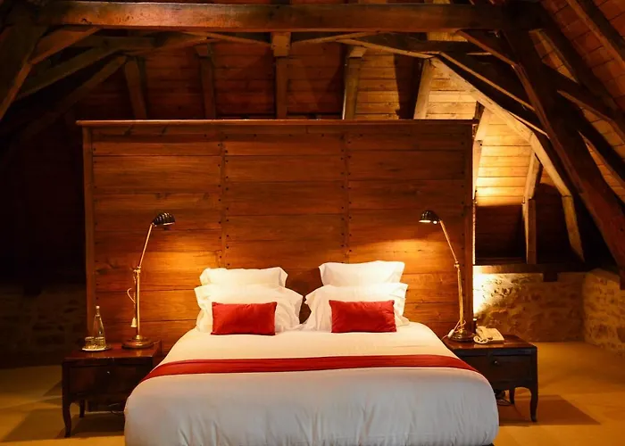 Hotel Chateau De Bagnols (Rhone)
