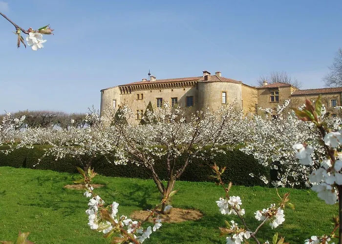 Chateau De 5* Bagnols (Rhone)