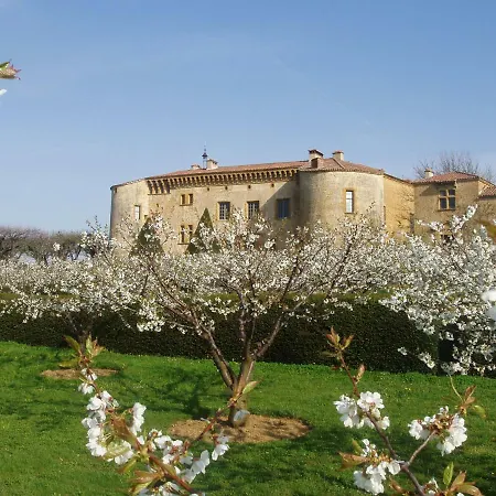 Château De 5* Bagnols (Rhone)