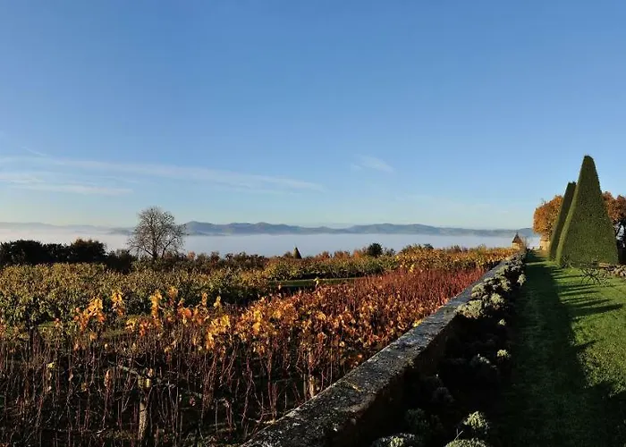 מלון Chateau De Bagnols (Rhone)